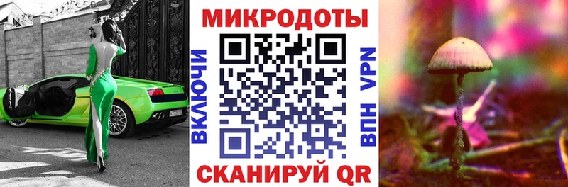 Галлюциногенные грибы ЛСД  как найти   Красный Сулин 